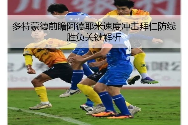 img_1781395725227_4558_1_446.jpg